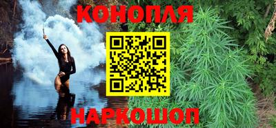 Альфа ПВП Можга